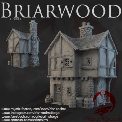 Dark Realms - Briarwood - House 1