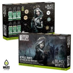 Paint Set - BLACK n WHITE PAINT SET (Box x6)