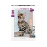 Puzzle 500 pièces - Chaton Bengal