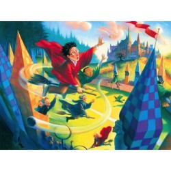 Puzzle 100p Harry Potter Quidditch