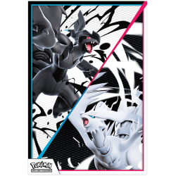 copy of Pokemon : ETB Flamme Blanche