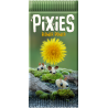 copy of Pixies