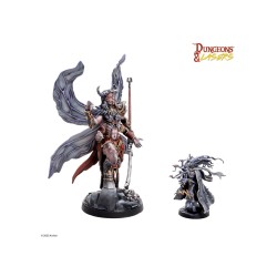 👑 Dungeons & Lasers – Anara the Undying Queen (FR)