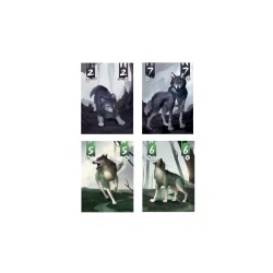 🐺 Terres de Loups – Jeu de plis stratégique pour deux joueurs