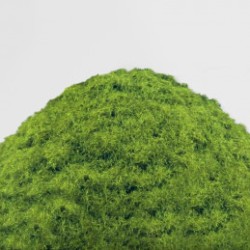 🌱 Herbe Statique- GSW – Spring Grass 2-3mm (200ml)