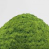 🌱 Herbe Statique- GSW – Spring Grass 2-3mm (200ml)