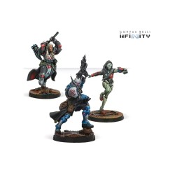 Infinity - Dire Foes Mission Pack 12: Troubled Theft