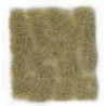 Touffes Wild Tuft - Beige 12mm