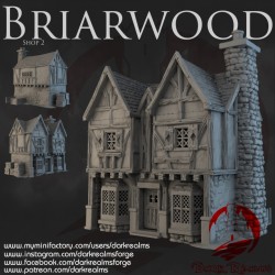 Dark realms Briarwood shop 5 (boutique)
