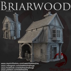 Dark Realms - Briarwood - House 5