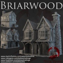 Dark Realms - Briarwood - Shop1