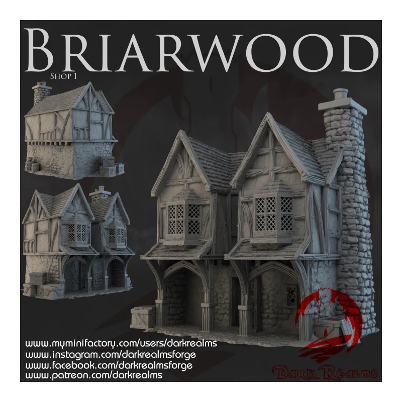Dark Realms - Briarwood - Shop1