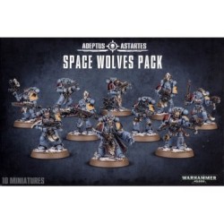 Space Wolves: Chasseurs Gris