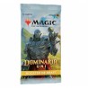 Magic The Gathering : Dominaria Uni - Boite de 36 boosters de draft