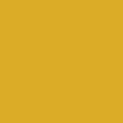 Game Color EncreJaune - Yellow