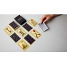 Oracle Belline 52 cartes - Coffret Noir & Or